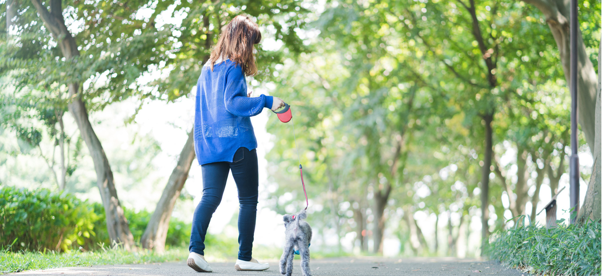 株式会社ダイヤアクティ